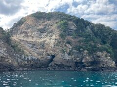 Seafari Japan�̎ʐ^1