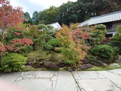 �������̍��I���̓��e�ʐ^1