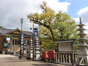 �������̍��˂̓��C�`���E�̓��e�ʐ^4