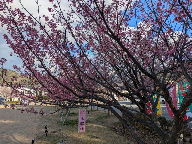 soshi����̓y����܂�̓��e�ʐ^1