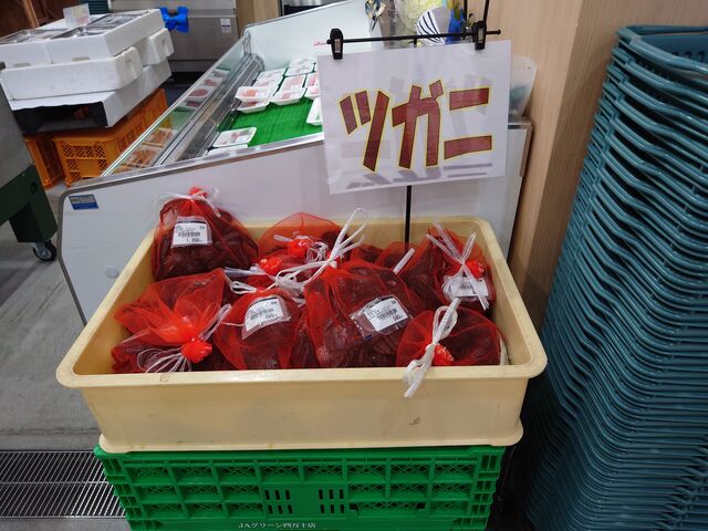 ���m���l���\�s�@�i�`�O���[���l���\�X_�i�`�O���[���l���\�X