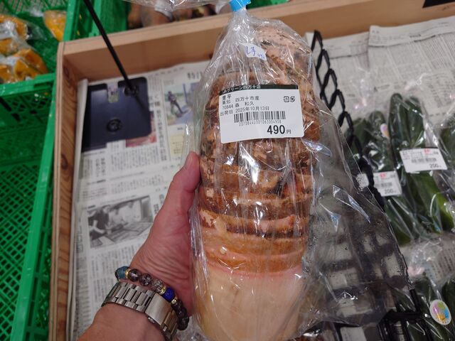 �������̂i�`�O���[���l���\�X�̓��e�ʐ^6