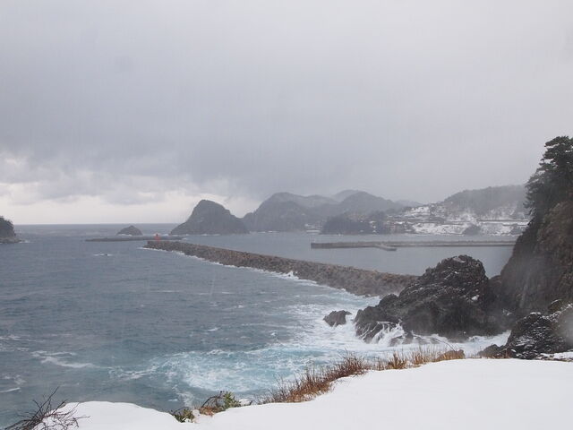 �`���̌��i�B
����܂���i�B_��������