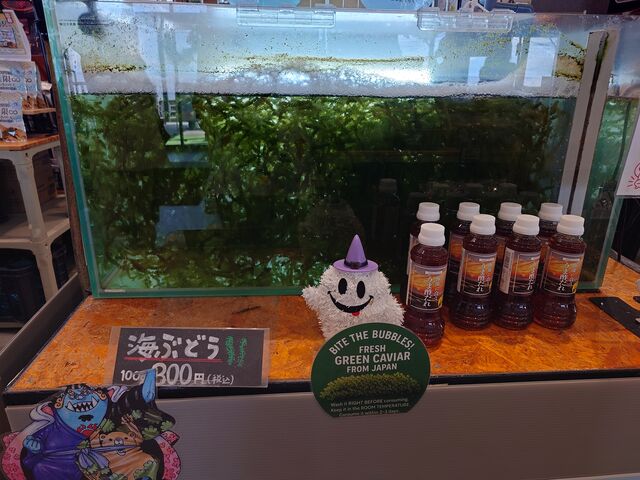 ��������OKAGESAMA MOBA�̓��e�ʐ^5