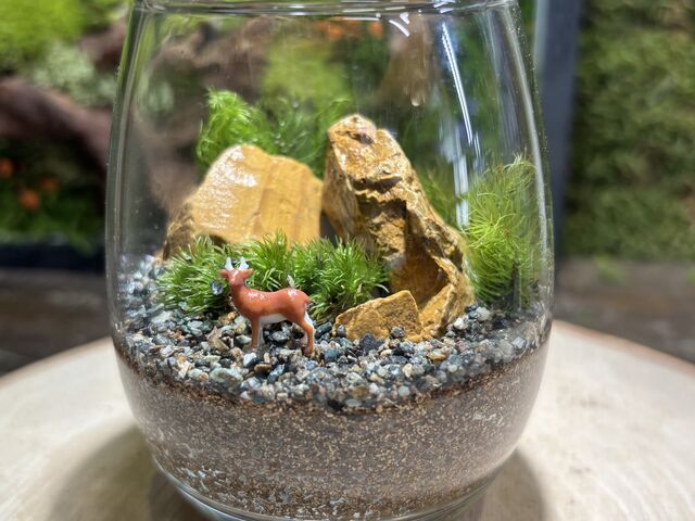 ���̍�i_�ۂނ���