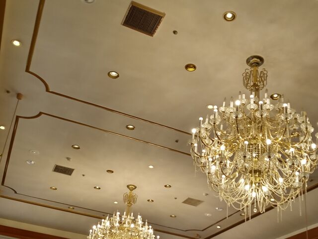 ���H���̍��؃V�����f���A_�����