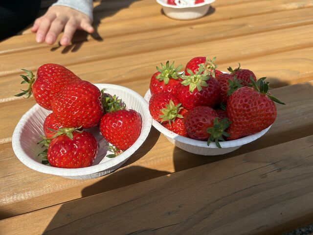 �S�������������������܂����B_���킱䕔_��