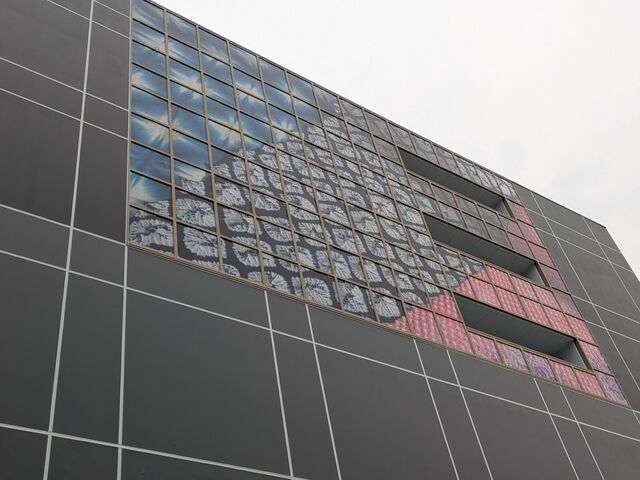 ������[����̃C�I���^�E���L���̓��e�ʐ^1