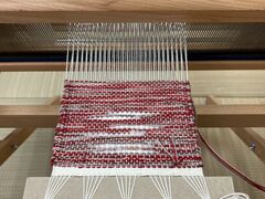 ��D��̌� ����Ȃ� �󑐌����O�X�̎ʐ^1