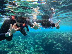 sunny bloom�̎ʐ^1