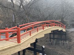 �Ђ�肳��͎̉����ւ̓��e�ʐ^1