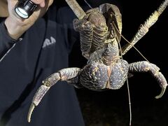 marble�����COCO�{�Ó��ւ̓��e�ʐ^1