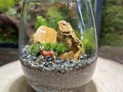 �ۂނ��т̎ʐ^2