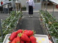 ���b�N�x�C�K�[�f���X�g���x���[�t�@�[���̎ʐ^1