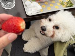 ���b�N�x�C�K�[�f���X�g���x���[�t�@�[���̎ʐ^2