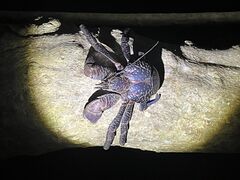 �݂��񂳂��COCO�{�Ó��ւ̓��e�ʐ^1