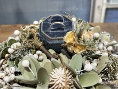 �W�����e�B�[���L�^�J�~�@�^�e�}�`�X�̎ʐ^1