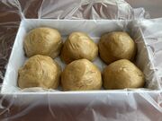 �Ђ�肳��̏������̓��e�ʐ^1