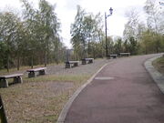 �T���v������̏㑽��̍��̓��e�ʐ^3