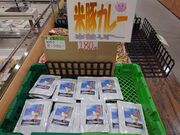 �������̂i�`�O���[���l���\�X�̓��e�ʐ^3