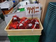 �������̂i�`�O���[���l���\�X�̓��e�ʐ^5