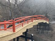 �Ђ�肳��͎̉����̓��e�ʐ^1