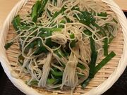 ��܂��񂳂�݂̂�����񂻂΂̓��e�ʐ^3