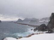 �L���Y����̉��������̓��e�ʐ^2