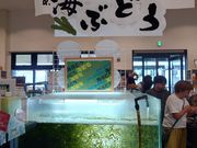 ��������OKAGESAMA MOBA�̓��e�ʐ^2