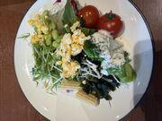 �J�I��������̃V�Y���[ �V�h�O��r���X�̓��e�ʐ^1