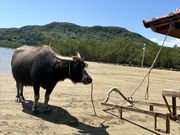 �����݂񂳂�̃^���`���̓��e�ʐ^1