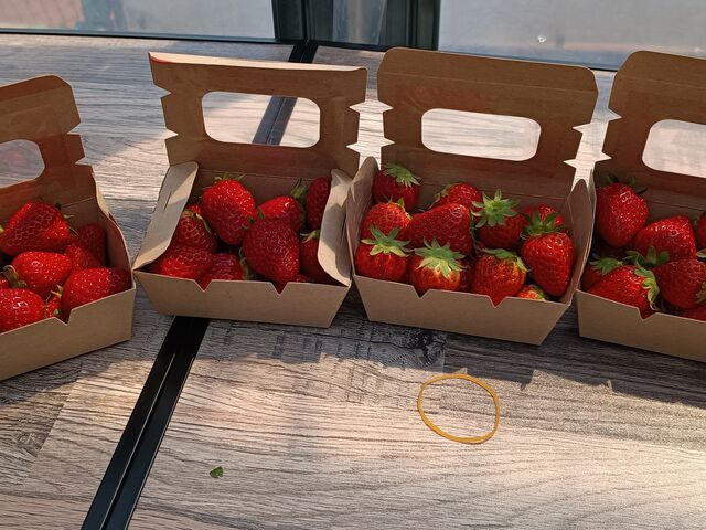 ���y�Y������_�����̂��t�@�[��