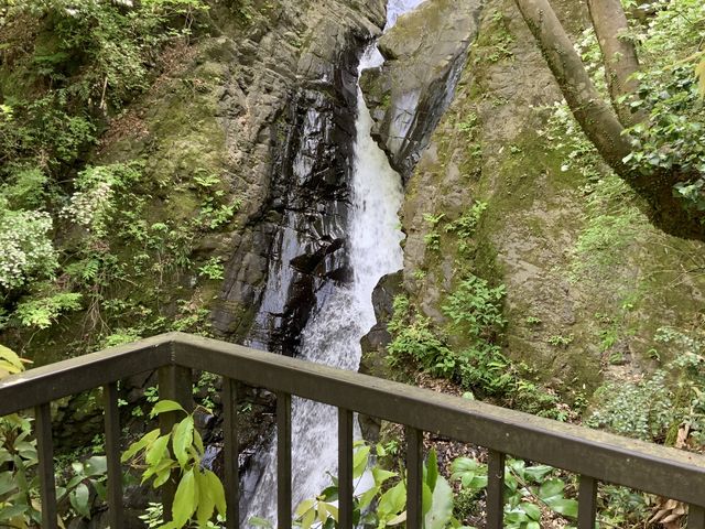 �Ɩ�����̒��q���̑�̓��e�ʐ^10