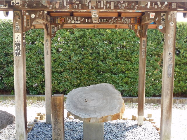 �O���`������̂��{�̏��̓��e�ʐ^2