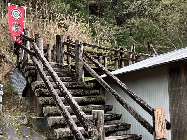 Shota����̍����隬�̓��e�ʐ^1