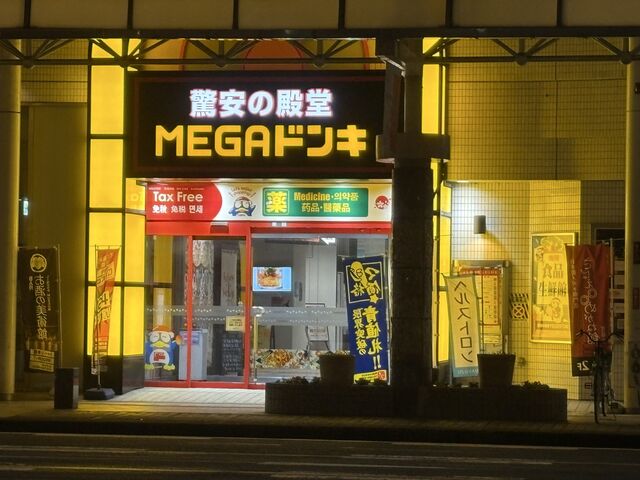 4�l�̂��[����񂳂�̌��c�ɂ��܂��{�� �{��MEGA�h����L�z�[�e�X�̓��e�ʐ^1