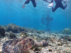 Nami�{�Ó��̎ʐ^1