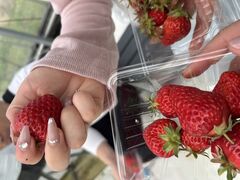 ��؂��񂾂�t�@�[���̎ʐ^1