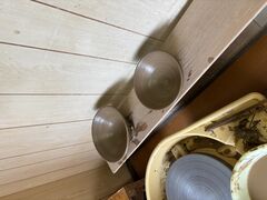 ���H�[���傤����q�̎ʐ^2