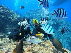 �}�����N���u Gigi�̎ʐ^1