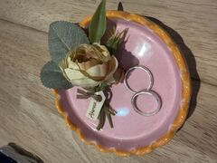 �A�J�l�X�����̎ʐ^1