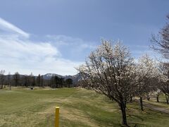 ���݂���񂳂�̑����m�N���u���̓��]�[�g�ւ̓��e�ʐ^1