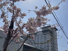 �����@��ؒ��̎ʐ^1