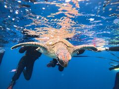 �Ί_���E�~�K���V���m�[�P���}�����V���b�vHAPPY�̎ʐ^1