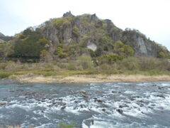 ��Ȑ쎩�R�V�����̎ʐ^1