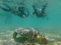 nico �{�Ó��̎ʐ^1