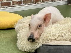 �}�C�N���u�^�Ƃ̂ӂꂠ���̌� �؏����̎ʐ^1