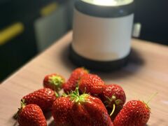 ���������ӂ��[�ނ̎ʐ^1