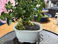 �Ă̂Ђ�~�͋����N���̎ʐ^1