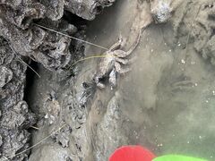 �݂����܂񂳂�̃u���[�t�B�[���h�ւ̓��e�ʐ^1